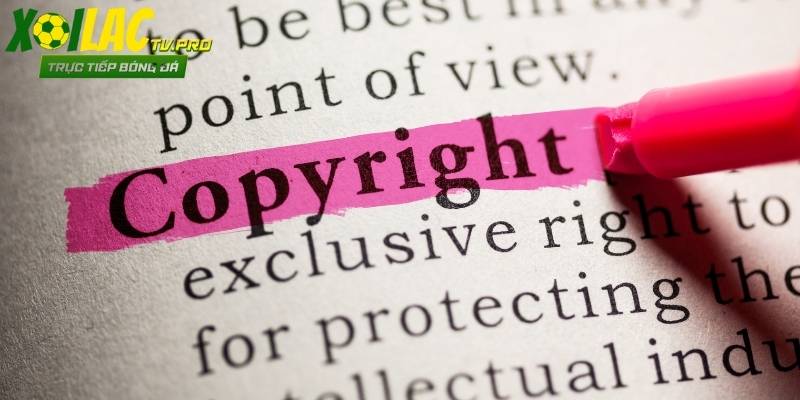 Người chơi được cấp quyền để truy cập một cách hợp pháp